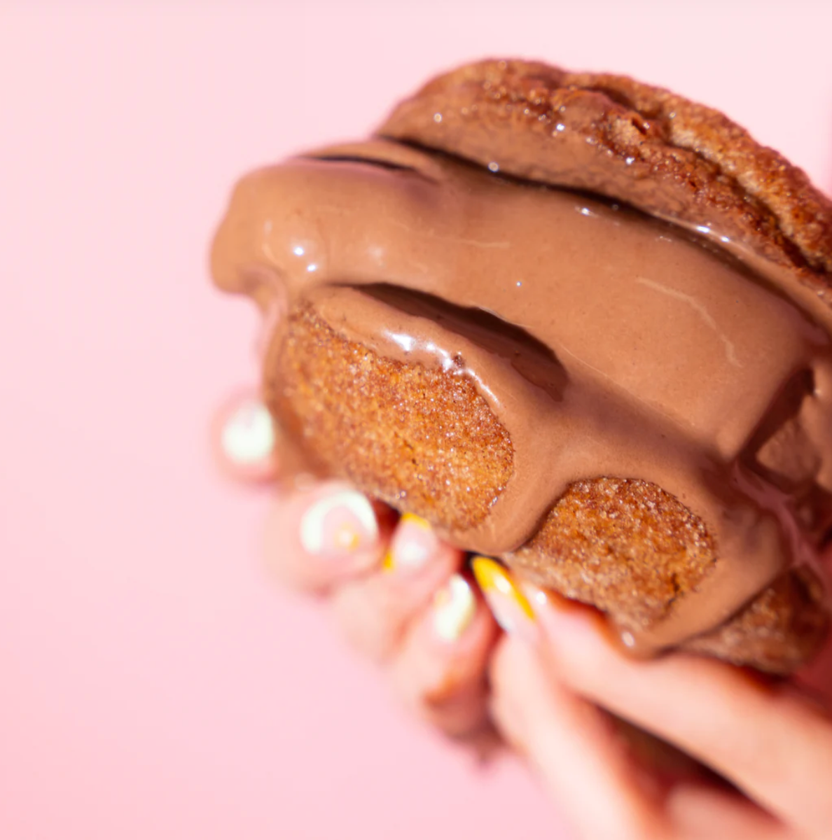  Ice cream cookie sandwich